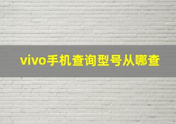 vivo手机查询型号从哪查