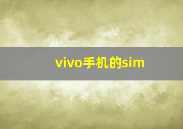 vivo手机的sim