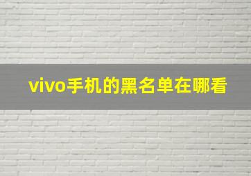 vivo手机的黑名单在哪看