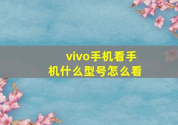 vivo手机看手机什么型号怎么看