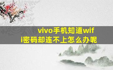 vivo手机知道wifi密码却连不上怎么办呢