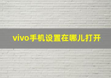 vivo手机设置在哪儿打开