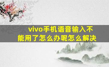 vivo手机语音输入不能用了怎么办呢怎么解决