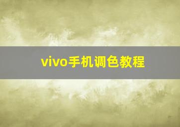 vivo手机调色教程