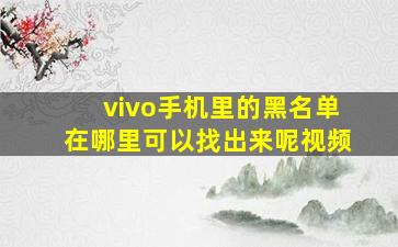 vivo手机里的黑名单在哪里可以找出来呢视频