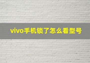 vivo手机锁了怎么看型号