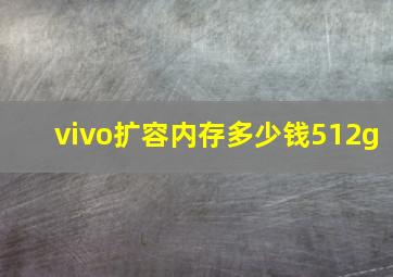 vivo扩容内存多少钱512g