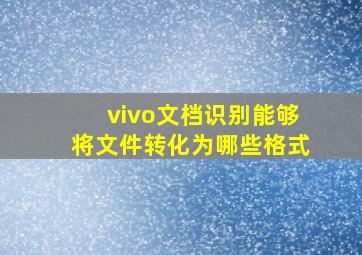 vivo文档识别能够将文件转化为哪些格式