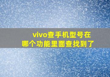 vivo查手机型号在哪个功能里面查找到了