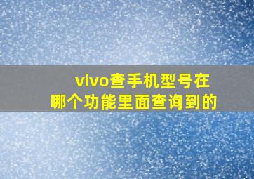 vivo查手机型号在哪个功能里面查询到的