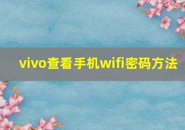 vivo查看手机wifi密码方法