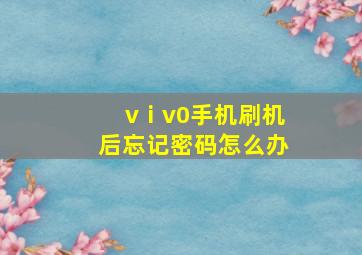 vⅰv0手机刷机后忘记密码怎么办