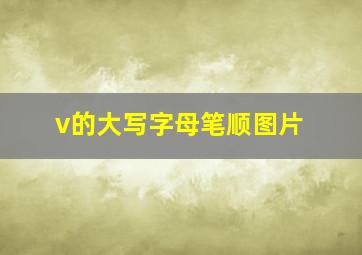 v的大写字母笔顺图片