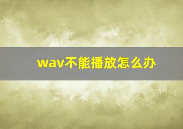 wav不能播放怎么办