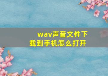 wav声音文件下载到手机怎么打开