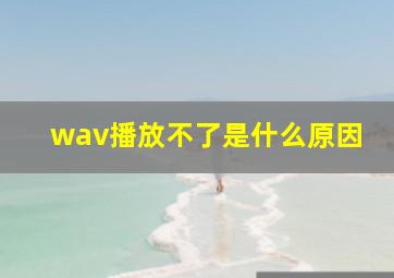 wav播放不了是什么原因