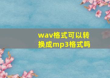 wav格式可以转换成mp3格式吗