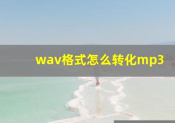 wav格式怎么转化mp3