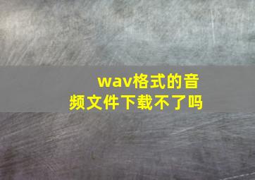 wav格式的音频文件下载不了吗