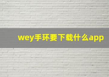 wey手环要下载什么app