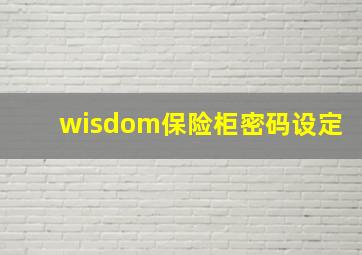 wisdom保险柜密码设定