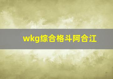 wkg综合格斗阿合江