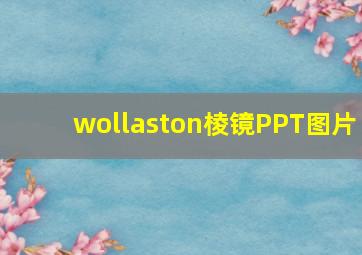 wollaston棱镜PPT图片