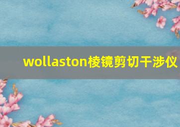 wollaston棱镜剪切干涉仪