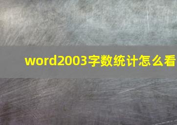 word2003字数统计怎么看