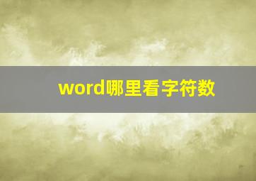 word哪里看字符数