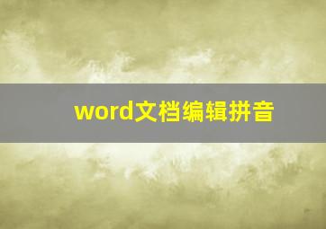 word文档编辑拼音