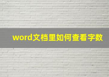 word文档里如何查看字数