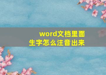 word文档里面生字怎么注音出来