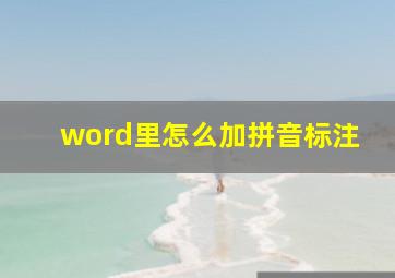 word里怎么加拼音标注