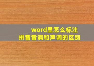 word里怎么标注拼音音调和声调的区别