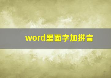 word里面字加拼音