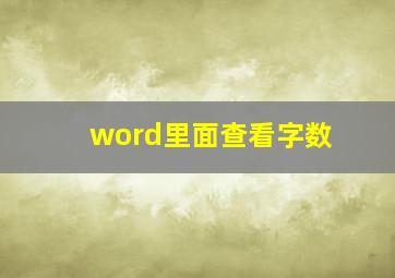 word里面查看字数