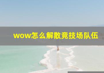 wow怎么解散竞技场队伍