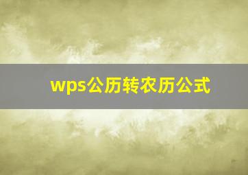 wps公历转农历公式