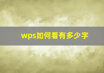 wps如何看有多少字