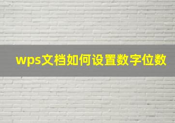 wps文档如何设置数字位数