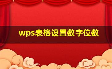 wps表格设置数字位数