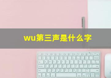 wu第三声是什么字