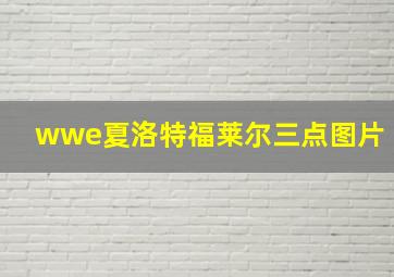 wwe夏洛特福莱尔三点图片