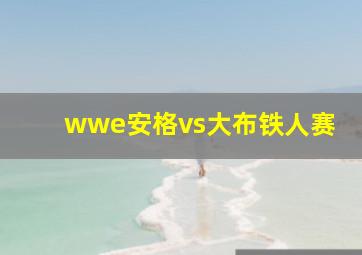 wwe安格vs大布铁人赛