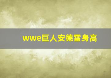 wwe巨人安德雷身高