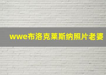 wwe布洛克莱斯纳照片老婆