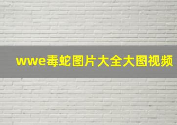 wwe毒蛇图片大全大图视频