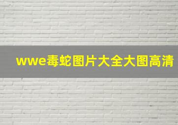 wwe毒蛇图片大全大图高清