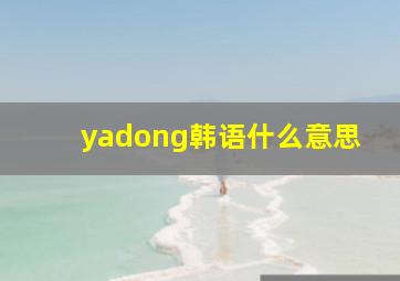 yadong韩语什么意思